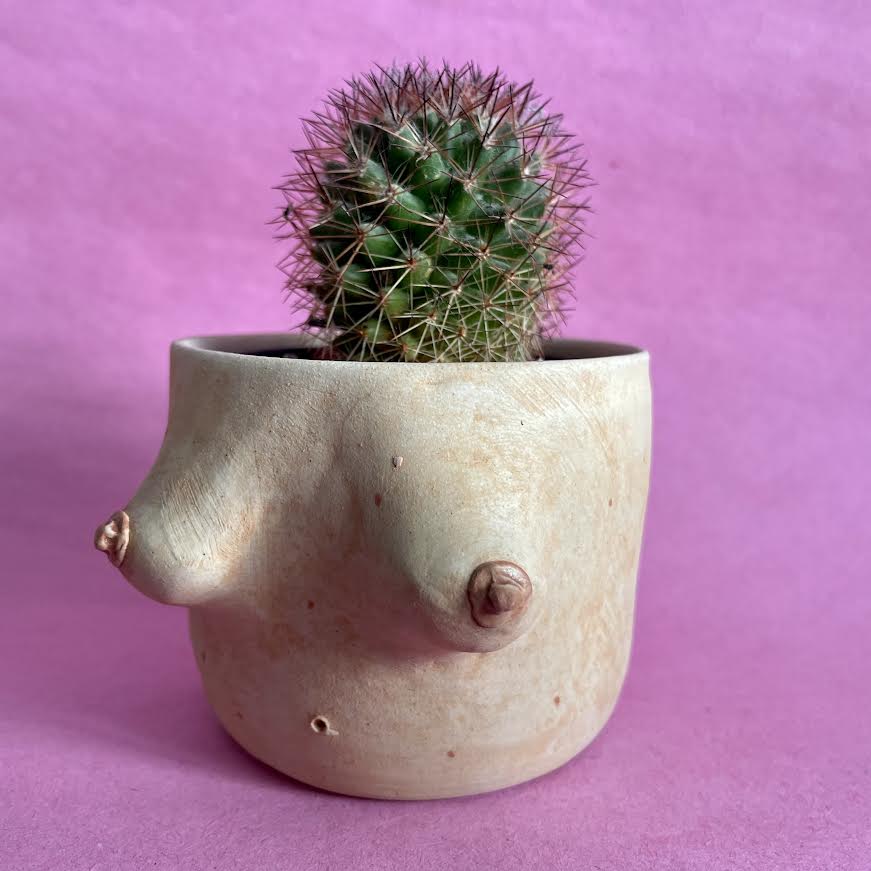 Ceramic Boob Planter 7x6