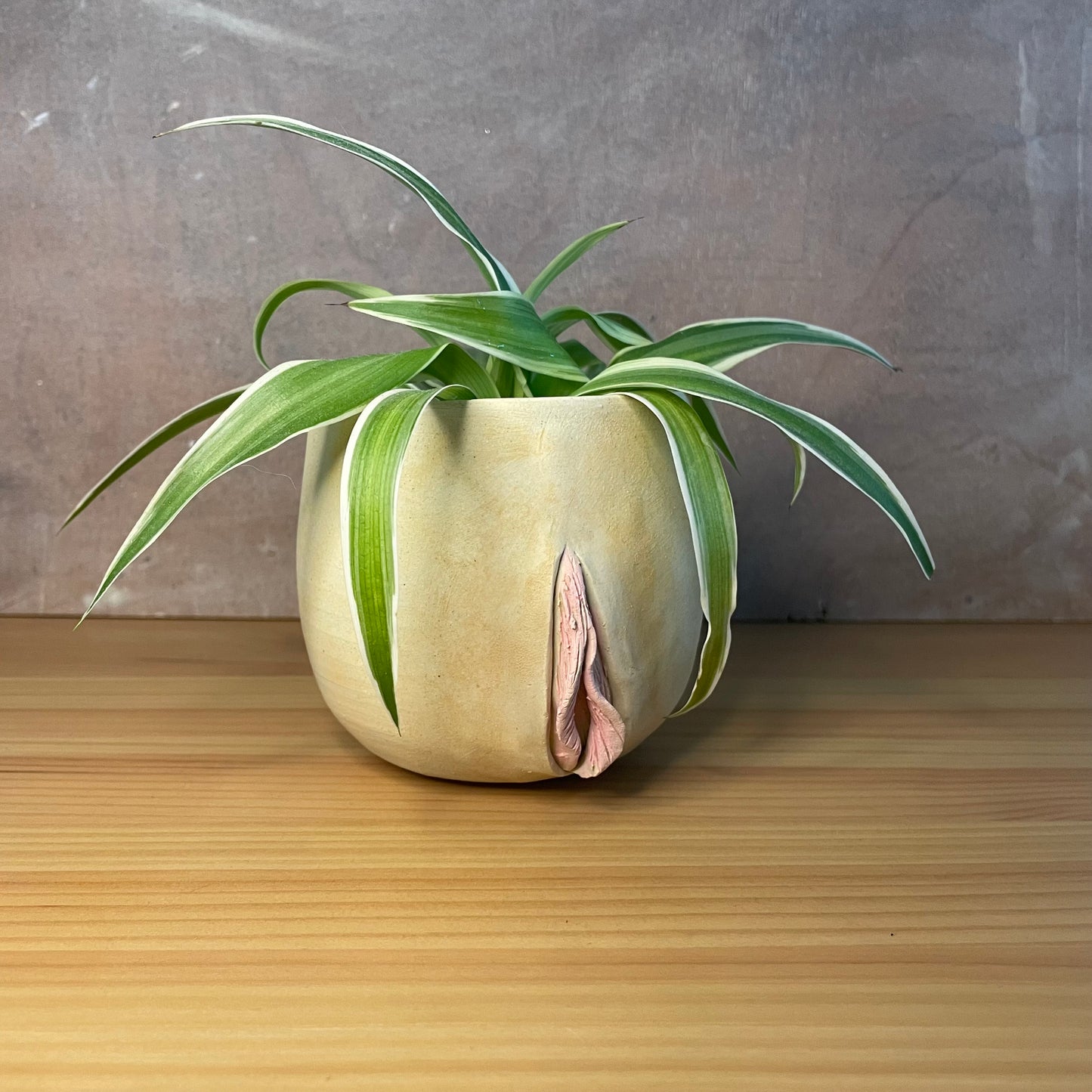 Ceramic Fanny Planter, Stoneware, handmade planter, indoor planter, outdoor planter