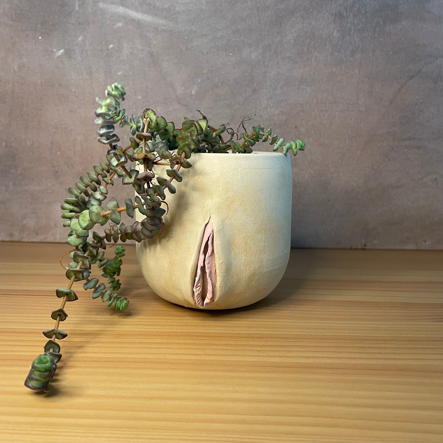 Ceramic Fanny Planter, Stoneware, handmade planter, indoor planter, outdoor planter